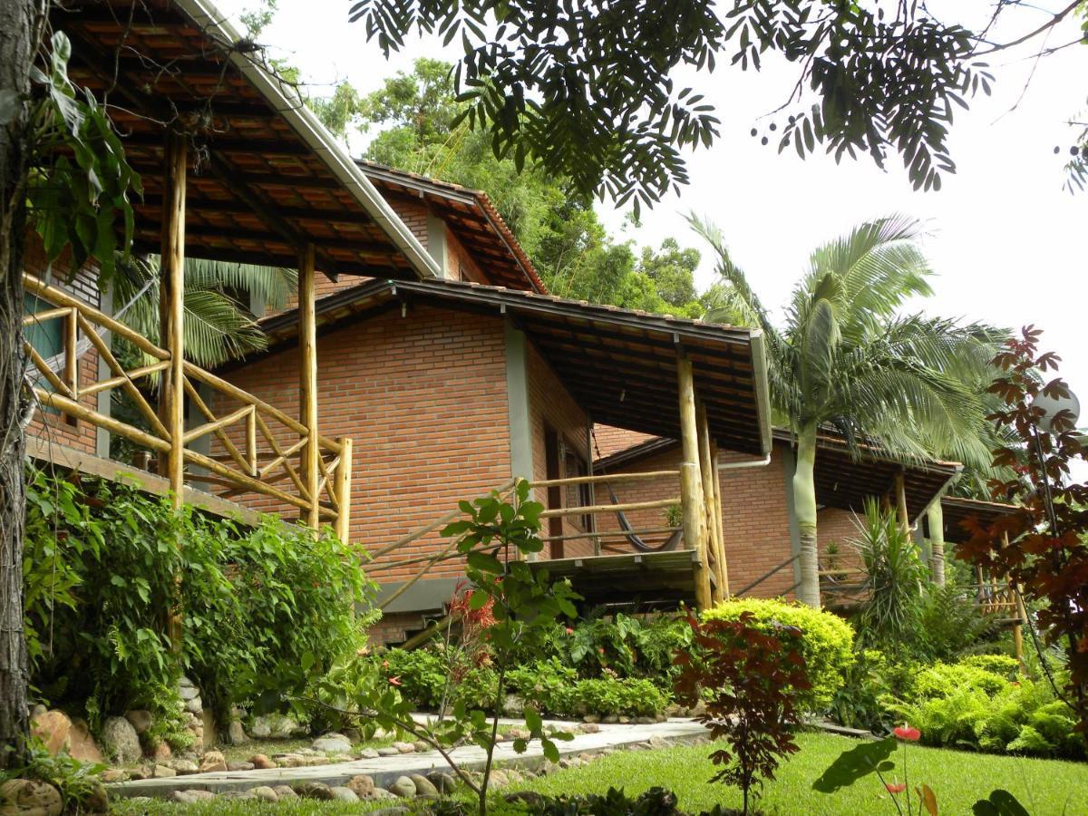 Nosso Bosque 3*