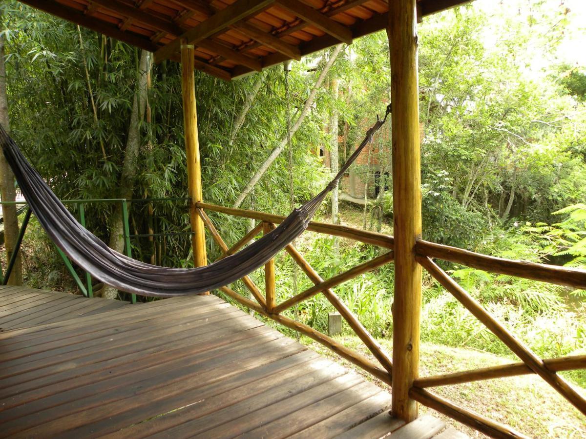 Nosso Bosque
