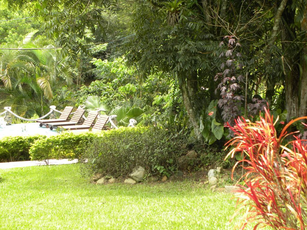 Inn Nosso Bosque