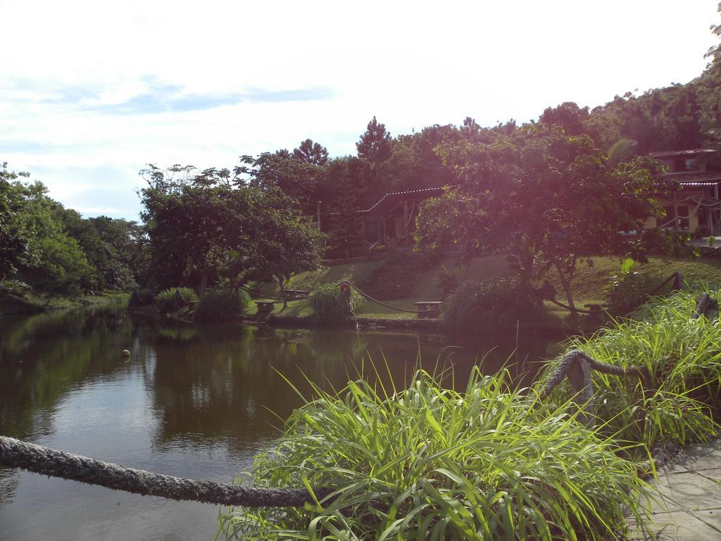 Nosso Bosque