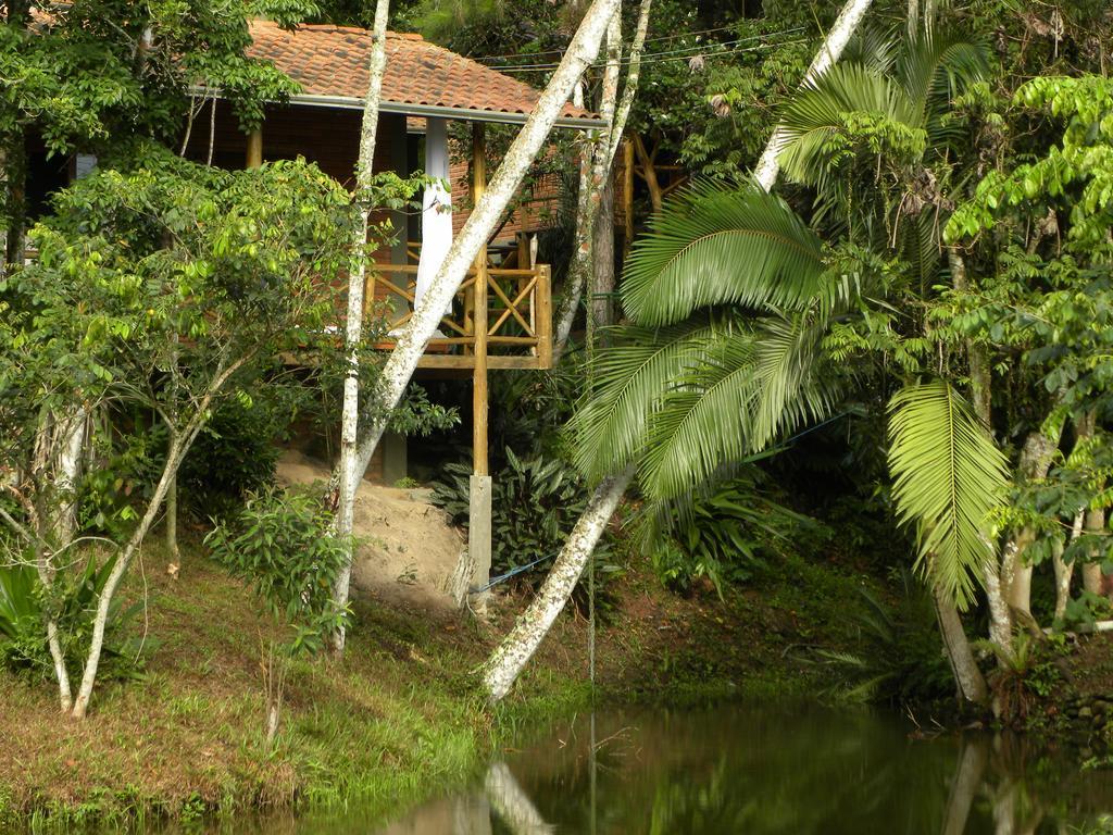 Nosso Bosque Porto Belo
