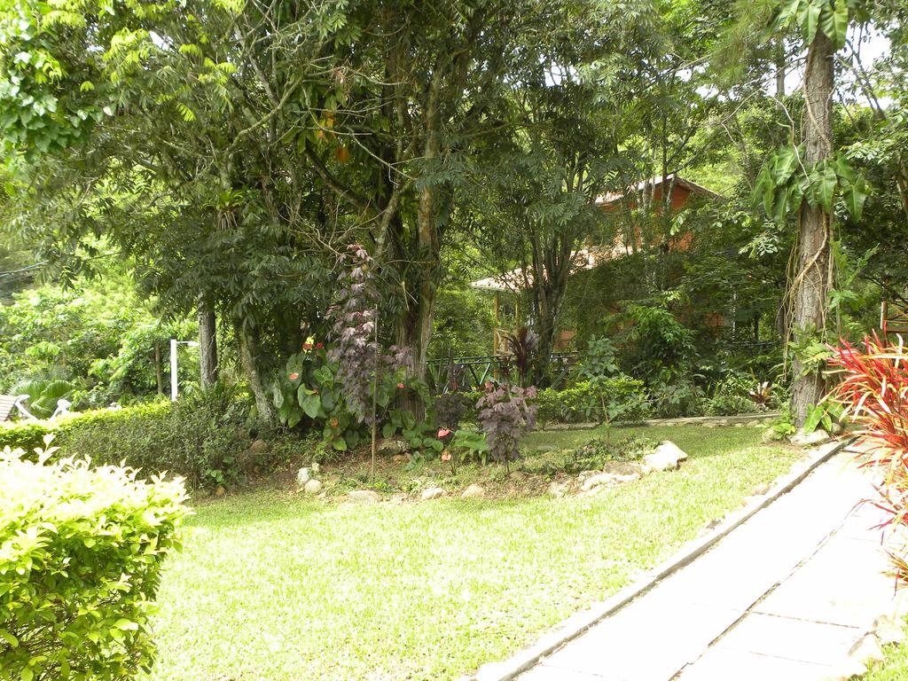 Nosso Bosque